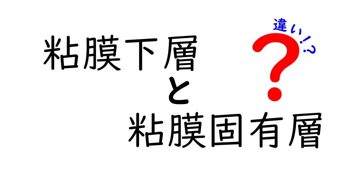 粘膜下層と粘膜固有層の違いを徹底解説！中学生にも分かる図解つきガイド