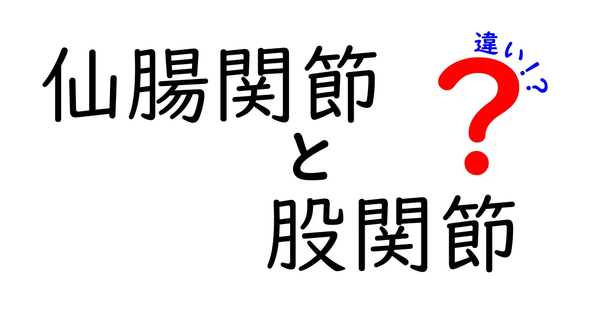 仙腸関節と股関節の違いを徹底解説｜痛みの原因と見分け方