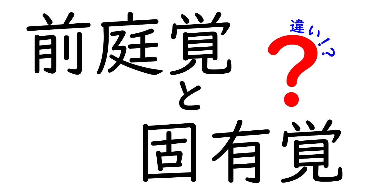 前庭覚と固有覚の違いを徹底解説！中学生にもわかる基本と日常の見分け方