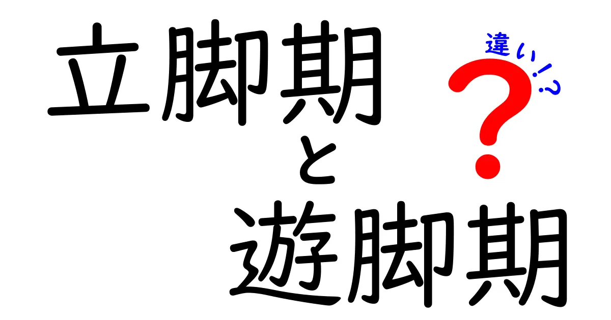 立脚期と遊脚期の違いを徹底解説！歩く仕組みをわかりやすく学ぼう