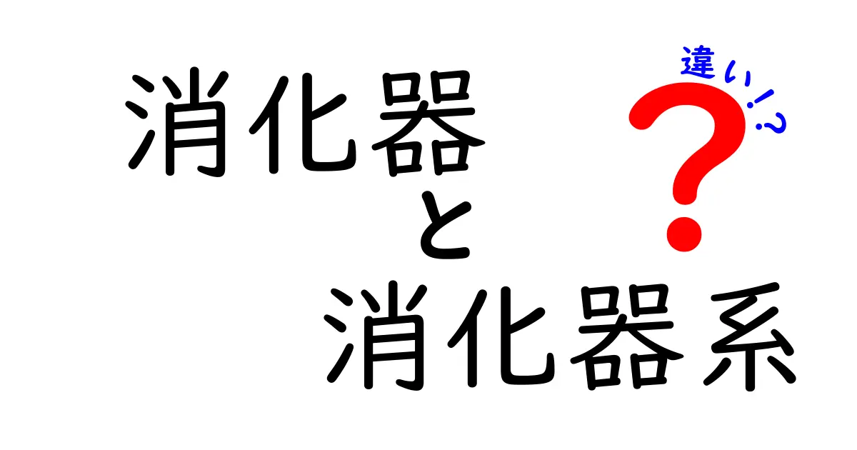 消化器と消化器系の違いを徹底解説！中学生にもわかる図解つきの基礎ガイド
