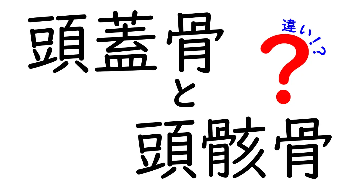 頭蓋骨と頭骄骨の違いを中学生にもわかる徹底解説！正しい用法と誤解を解くポイント