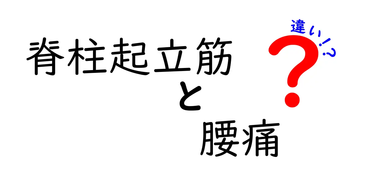 脊柱起立筋と腰痛の違いを徹底解説｜痛みの原因と正しい対処法を分かりやすく解説