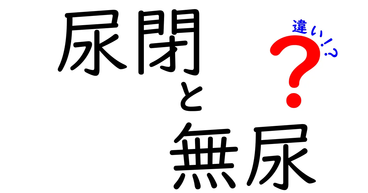 尿閉と無尿の違いを徹底解説！原因・症状・対処法を医師目線でわかりやすく比較