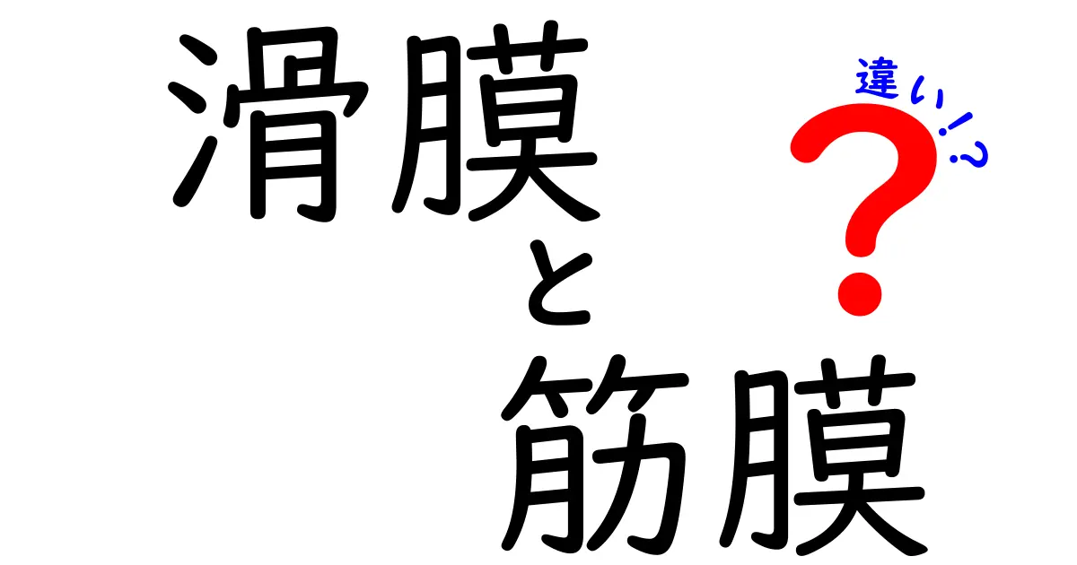 滑膜と筋膜の違いを徹底解説！体を包む膜の正体と日常への活かし方