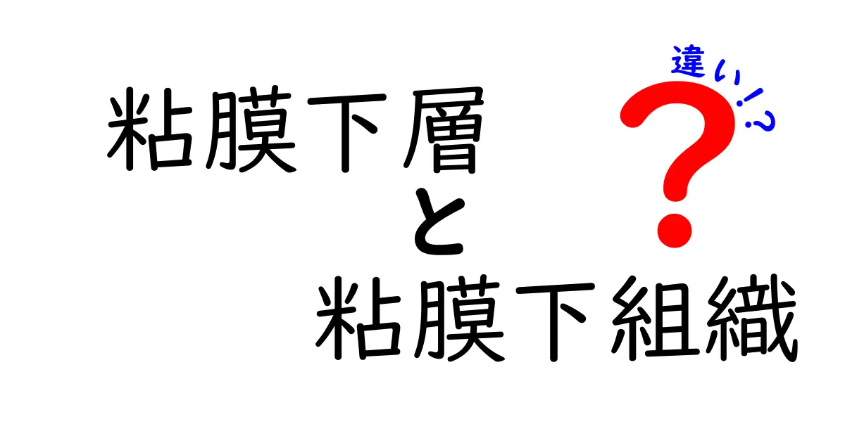 粘膜下層と粘膜下組織の違いを徹底解説！名前の意味と役割を理解する入門ガイド