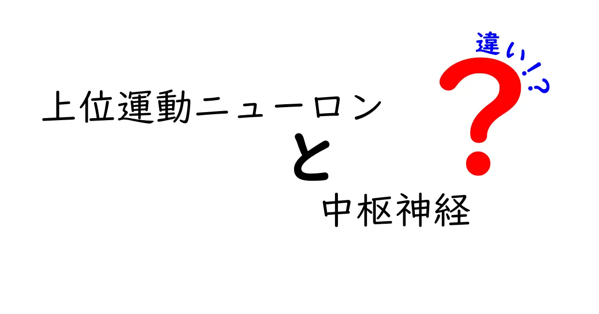 上位運動ニューロンと中枢神経の違いを徹底解説！中学生にもわかるやさしい解説で体の仕組みを理解する