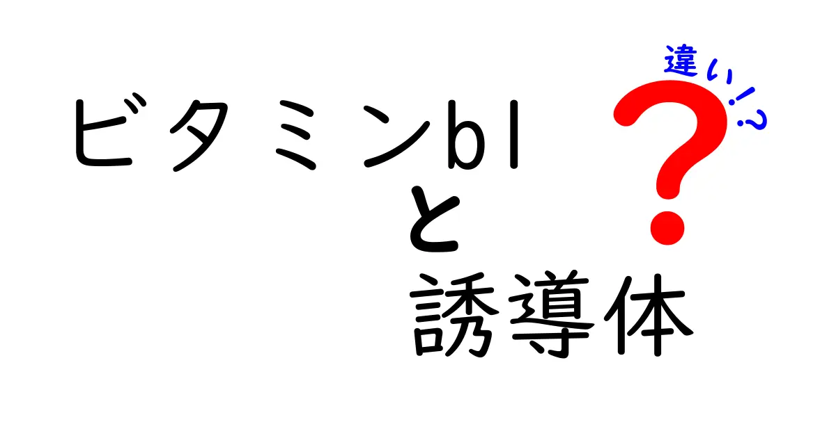 ビタミンB1誘導体の違いを徹底解説！ベンフォチアミンからアリチアミンまでの選び方