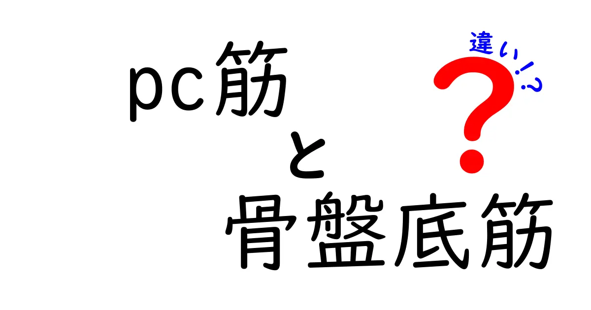 PC筋と骨盤底筋の違いを徹底解説！初心者にもわかる図解とトレーニングのコツ