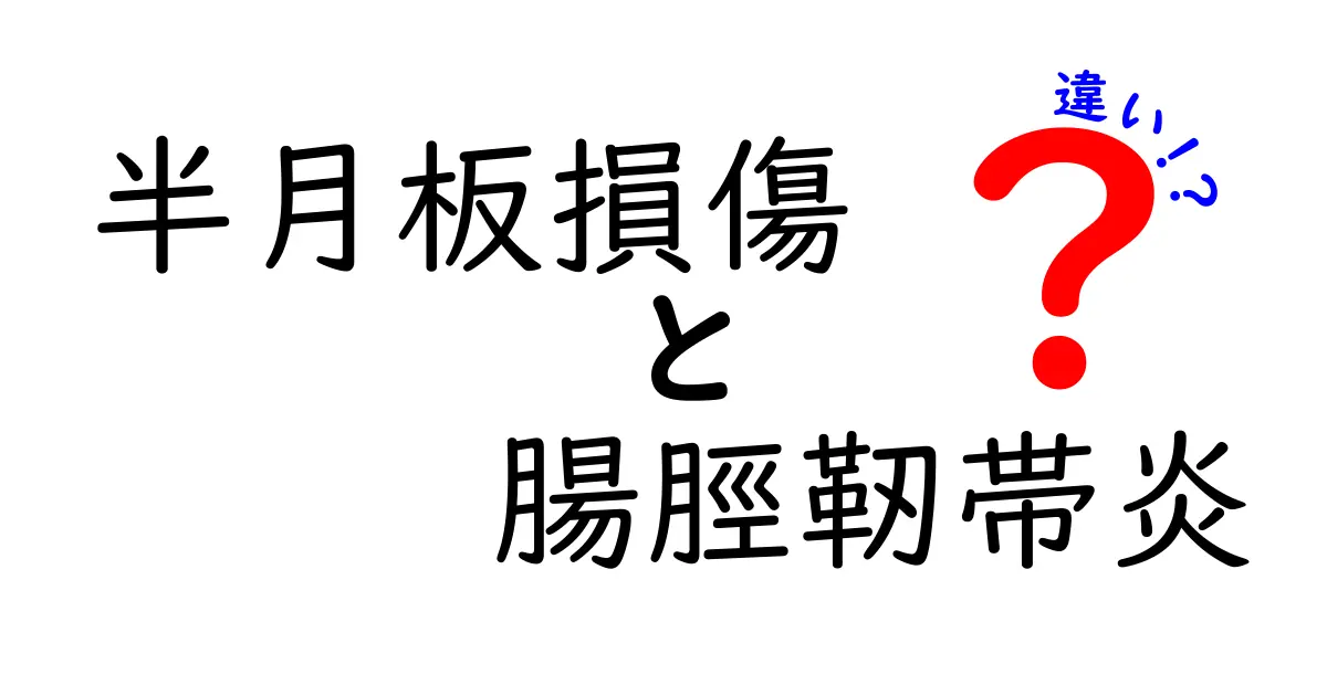 半月板損傷と腸脛靭帯炎の違いを徹底解説！痛みの原因から治療まで、わかりやすい比較ガイド