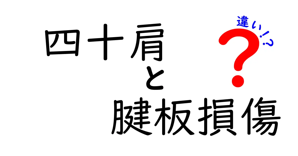 四十肩と腱板損傷の違いを徹底解説｜痛みの原因と治療法をわかりやすく