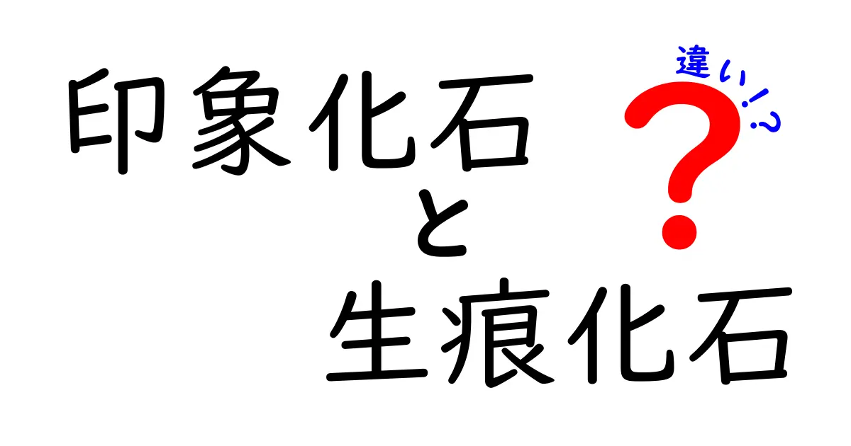 印象化石と生痕化石の違いをわかりやすく解説！中学生にも伝わるポイントまとめ