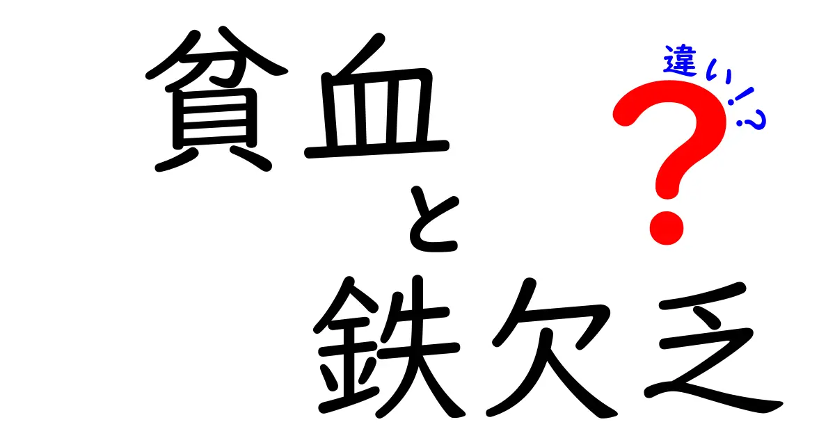 貧血と鉄欠乏の違いを理解するための完全ガイド｜症状・検査・対策をわかりやすく解説