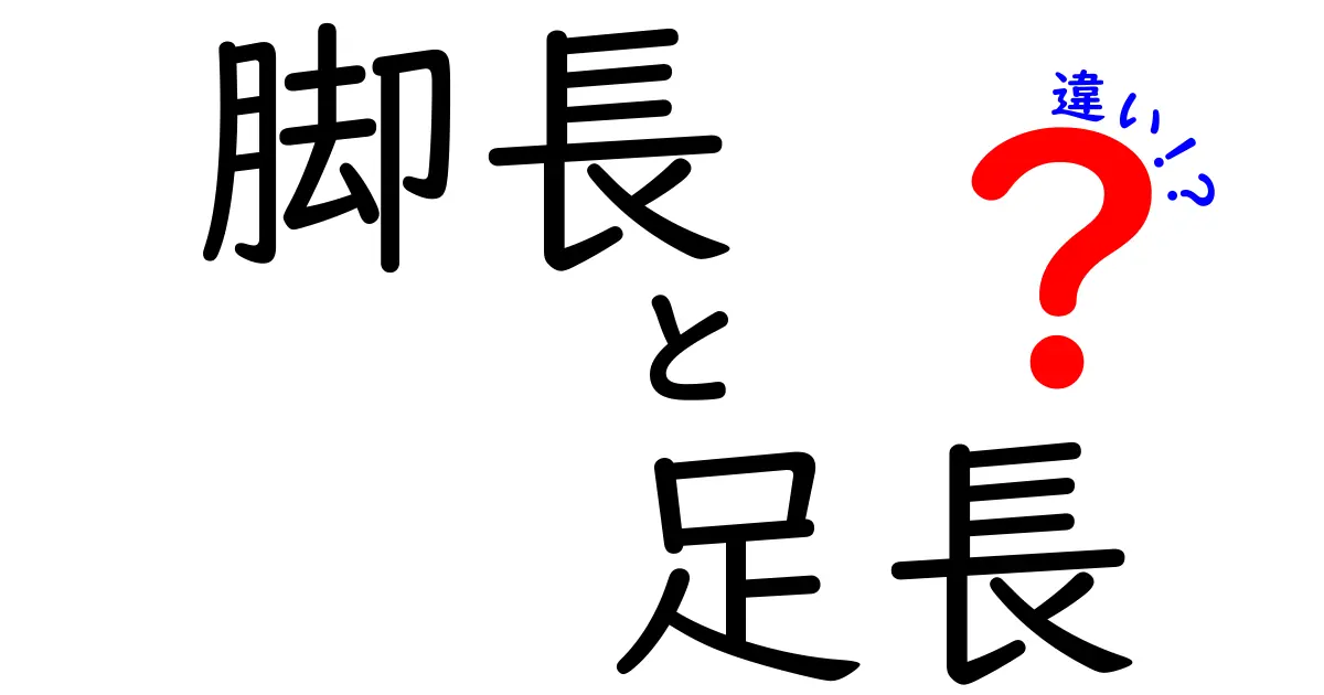 脚長と足長の違いとは？見た目と体の成長に影響するポイントをやさしく解説