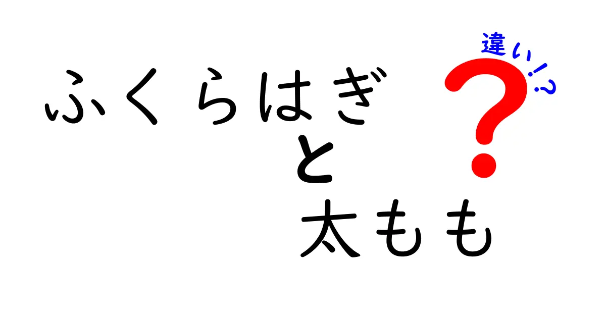 ふくらはぎと太ももの違いを徹底解説！筋肉の場所・役割・痛みの原因まで中学生にもわかる図解ガイド