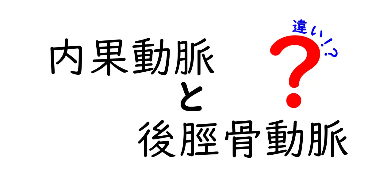 内果動脈と後脛骨動脈の違いを徹底解説—足首の血管をやさしく理解するガイド