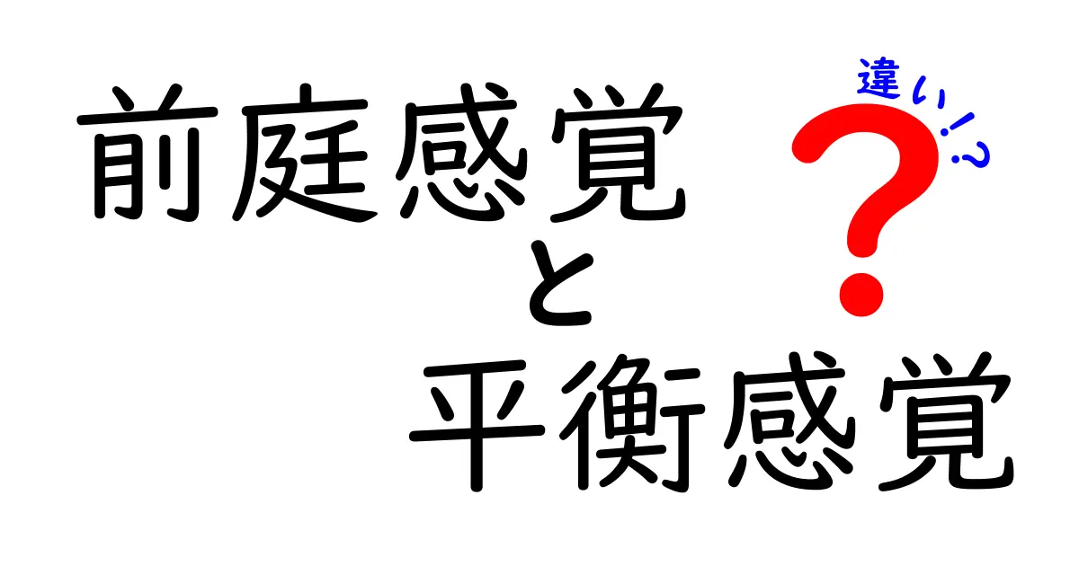 前庭感覚と平衡感覚の違いを徹底解説｜中学生でも理解できる基本と日常のヒント