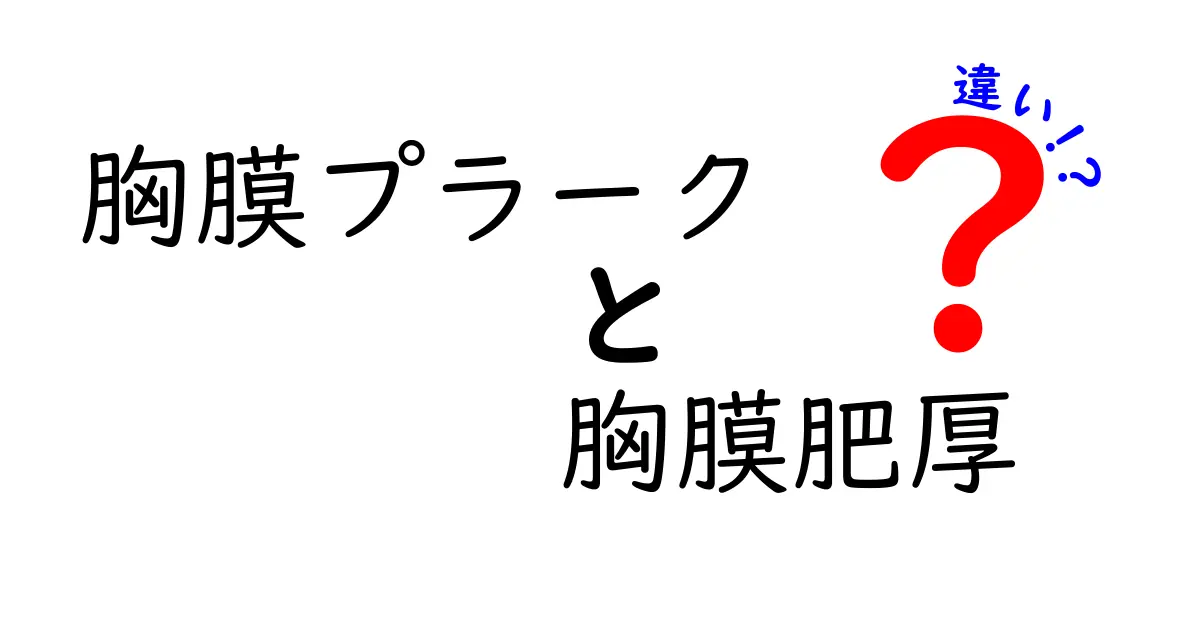 胸膜プラークと胸膜肥厚の違いを徹底解説—見分け方と注意点を中学生にもわかりやすく