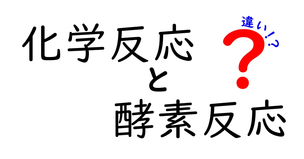 化学反応と酵素反応の違いを徹底解説！中学生にも分かるポイントと身近な例、速さ・エネルギー・条件を表で比較