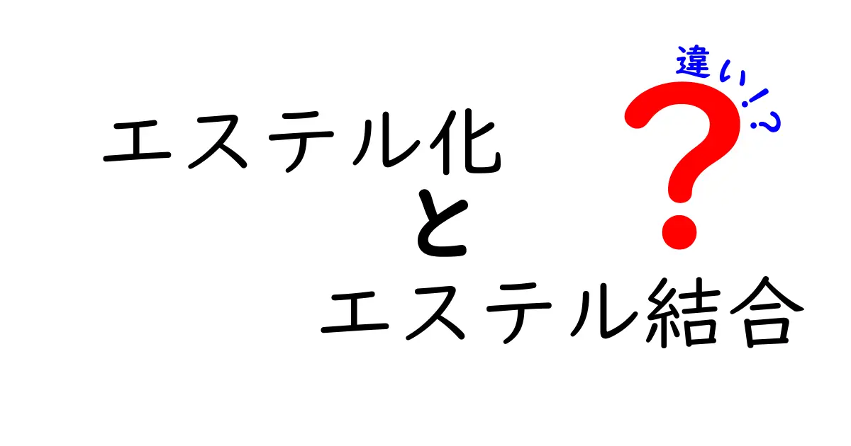エステル化とエステル結合の違いを徹底解説｜中学生にもわかるやさしい解説