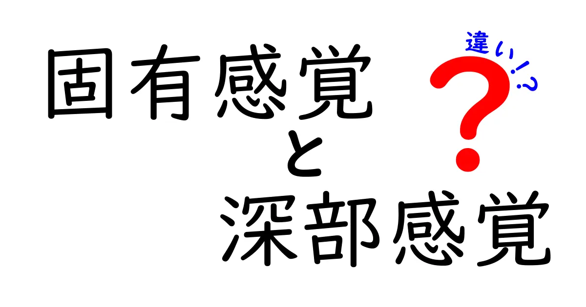 固有感覚と深部感覚の違いを徹底解説！中学生にも分かる基礎と実生活での見分け方