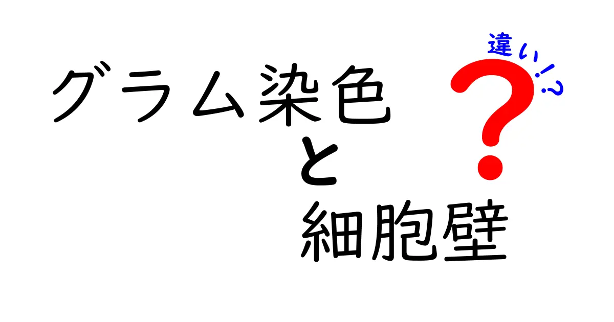 グラム染色と細胞壁の違いを徹底解説：中学生にも分かりやすいポイント解説