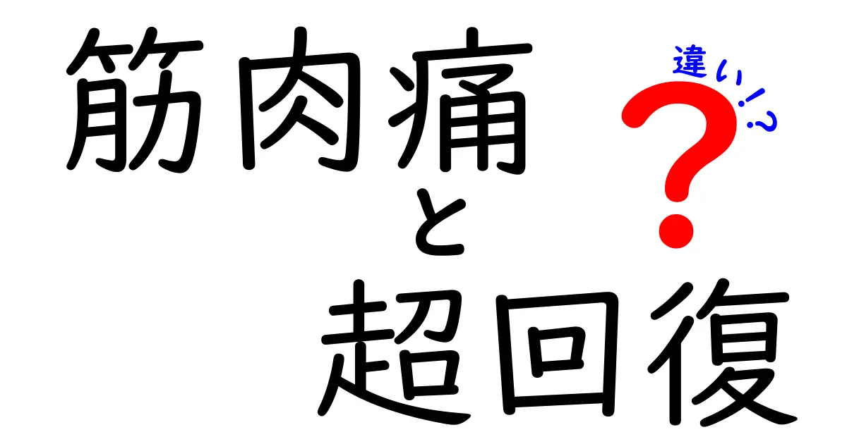 筋肉痛と超回復の違いを徹底解説！初心者でも分かる科学と実践ガイド