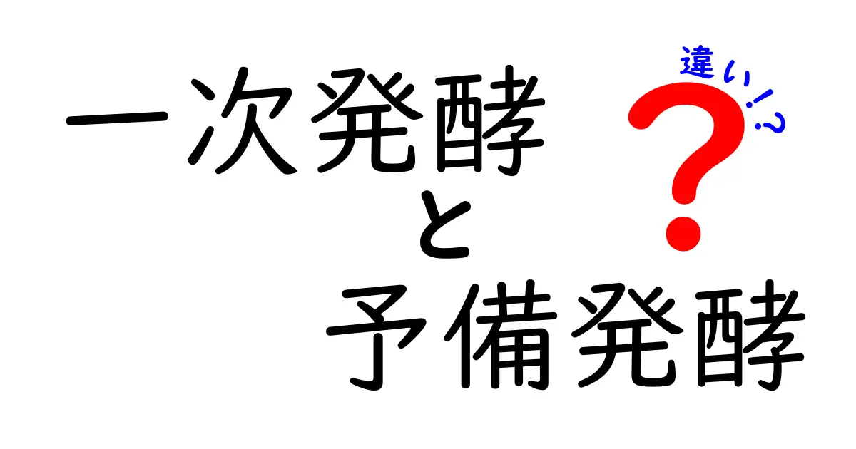 一次発酵と予備発酵の違いを徹底解説｜パン作り初心者がつまずくポイントをわかりやすく整理