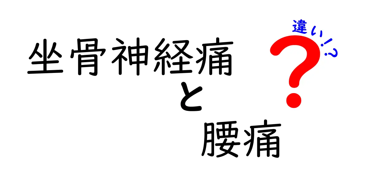 坐骨神経痛と腰痛の違いを徹底解説｜痛みの原因と見分け方を分かりやすく解説