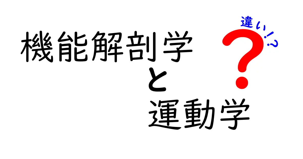 機能解剖学と運動学の違いを徹底解説！体のしくみを正しく理解する3つのポイント