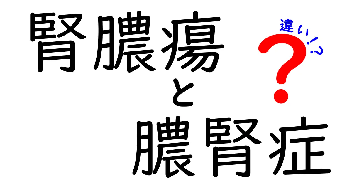 腎膿瘍と膿腎症の違いをわかりやすく解説｜中学生にも伝わるポイント