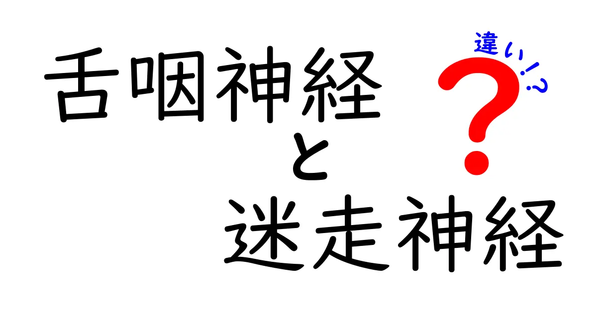 舌咽神経と迷走神経の違いを徹底解説！中学生にもわかるポイントと日常の気づき