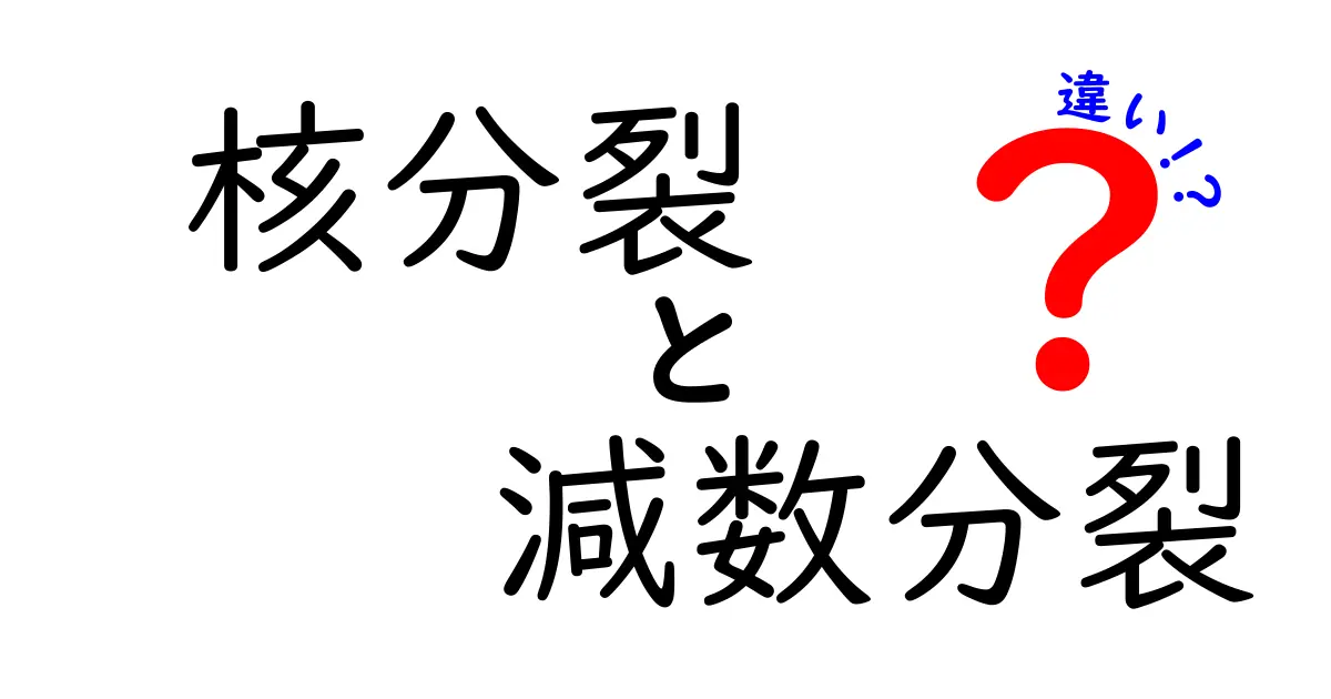 核分裂と減数分裂の違いを徹底理解！中学生にも伝わる図解つきのわかりやすい解説