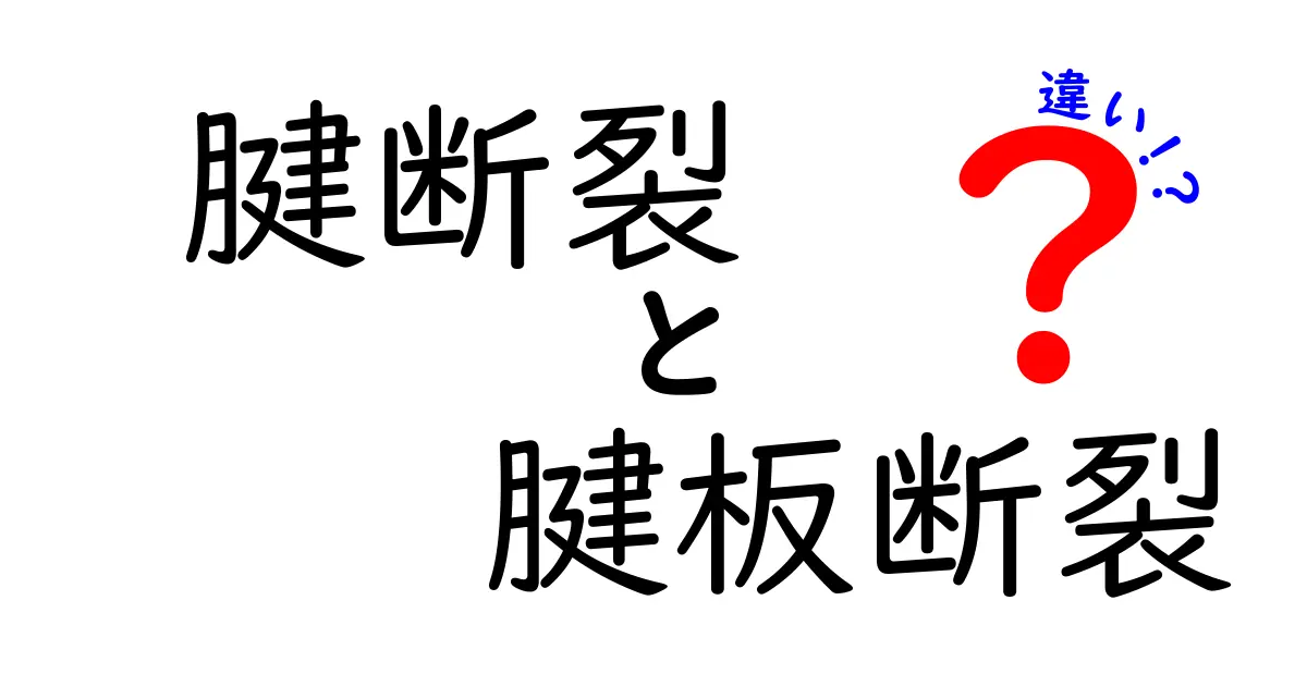 腱断裂と腱板断裂の違いを徹底解説：痛みの場所と治療の近道を知る