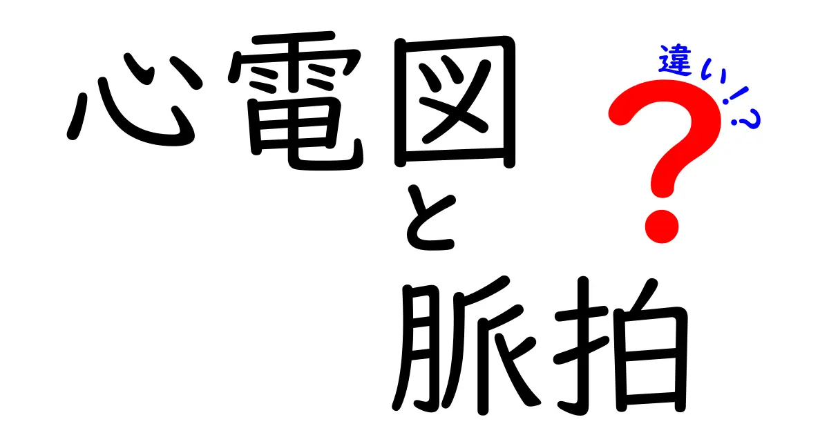 心電図と脈拍の違いを徹底解説！測定の意味と日常の活用を中学生にもわかるように