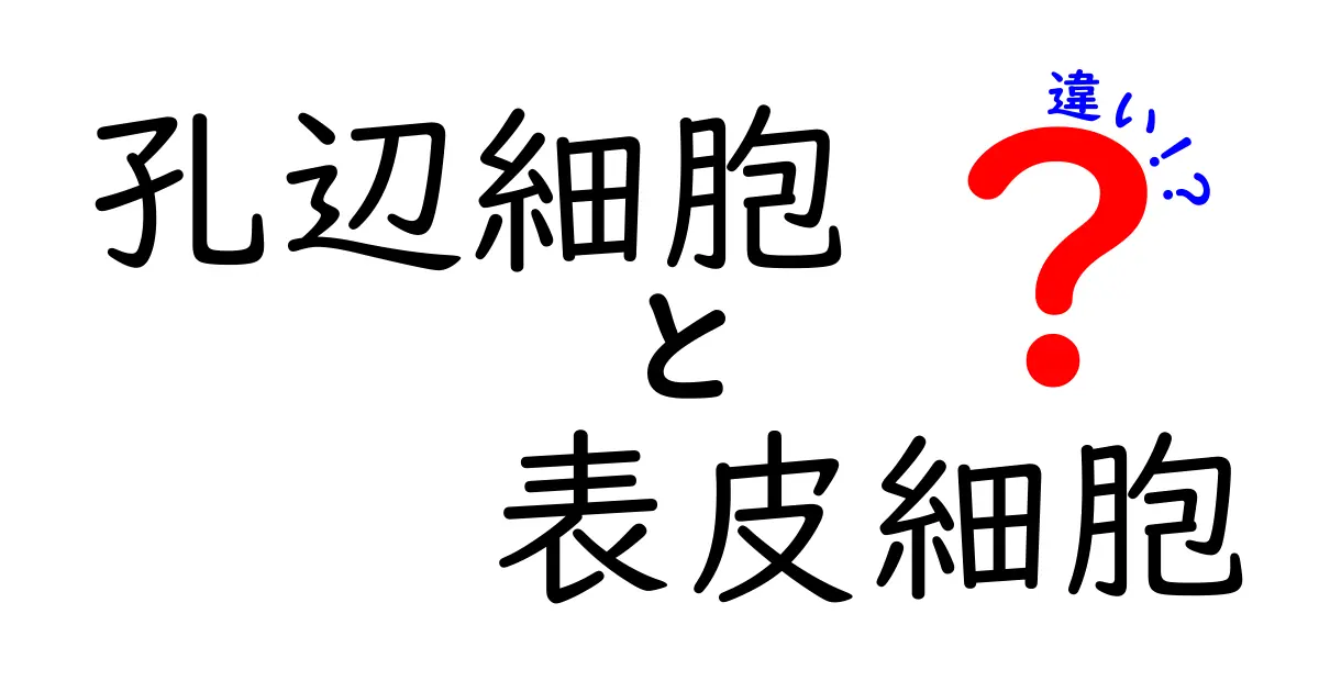孔辺細胞と表皮細胞の違いを徹底解説—葉の気孔をつくる2つの細胞の秘密