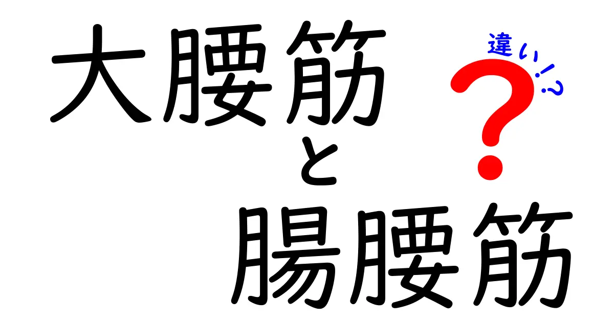 大腰筋と腸腰筋の違いを完全解説！痛みの原因とケアまで中学生にもわかる図解付き