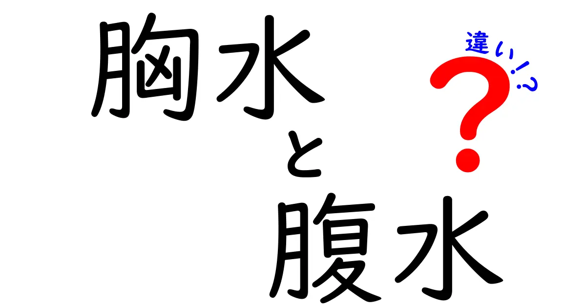 胸水と腹水の違いを徹底解説！見分け方・原因・診断まで中学生にもわかる解説