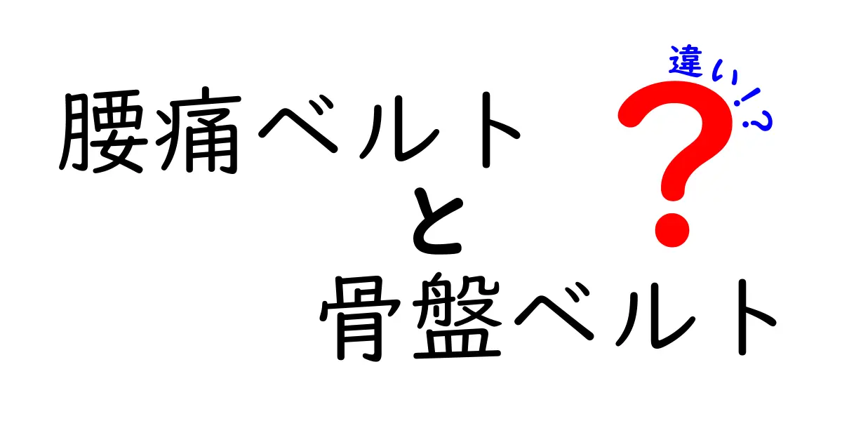 腰痛ベルトと骨盤ベルトの違いを徹底解説！正しい選び方と使い方をわかりやすく