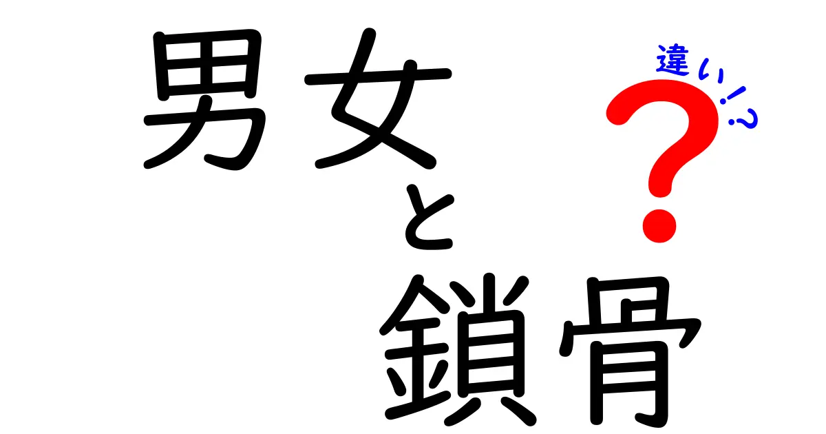 男女の鎖骨の違いを徹底解説！形・成長・健康への影響をわかりやすく整理