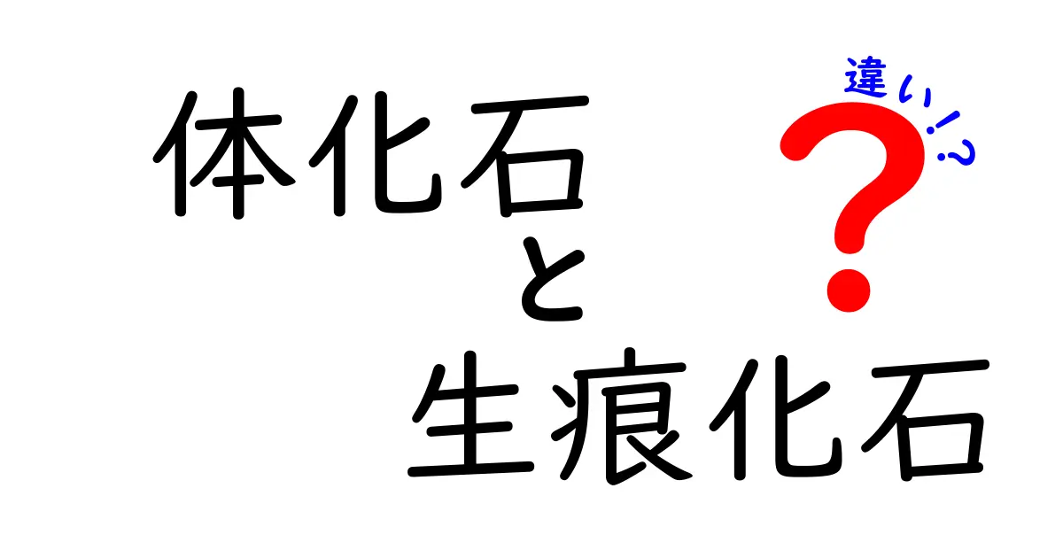 体化石と生痕化石の違いを徹底解説！見分け方と実例を中学生にもわかりやすく