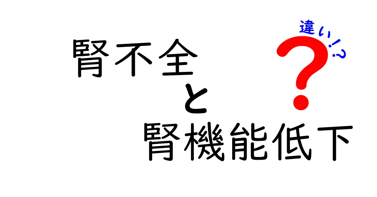 腎不全と腎機能低下の違いを理解するためのやさしいガイド