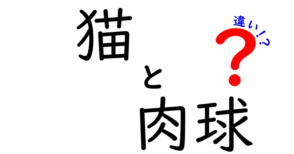 猫の肉球と他の部位の違いを徹底解説｜猫好きが知るべきポイント