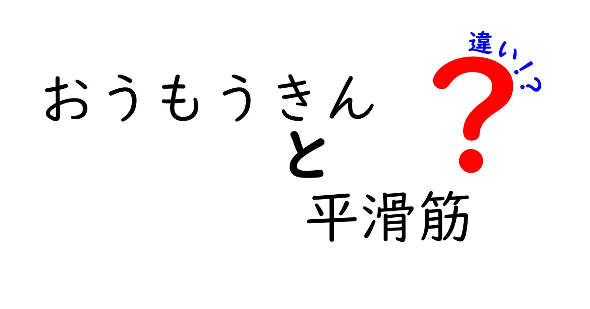 おうもうきんと平滑筋の違いをわかりやすく解説！体の仕組みを楽しく学ぶクリック必須ガイド