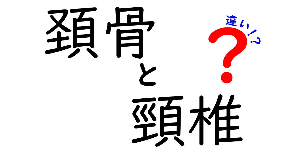 頚骨と頸椎の違いを徹底解説｜中学生にもわかる身体の仕組み