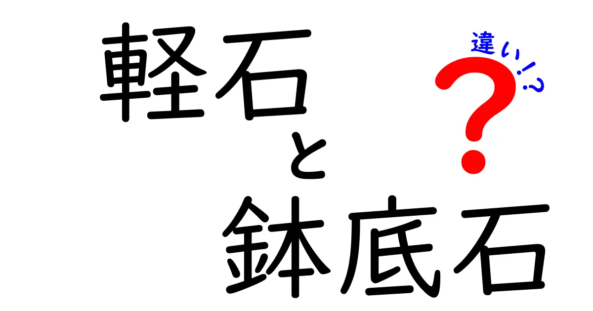 軽石と鉢底石の違いを徹底解説！初心者でもわかる選び方ガイド