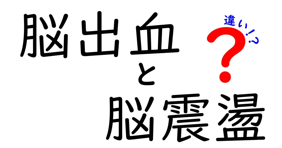 脳出血と脳震盪の違いをやさしく解説！知っておくべきサインと対処のポイント