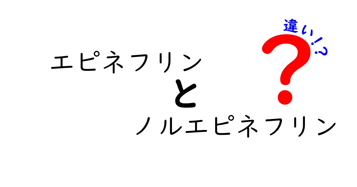エピネフリンとノルエピネフリンの違いを徹底解説！中学生にも分かる生理の秘密