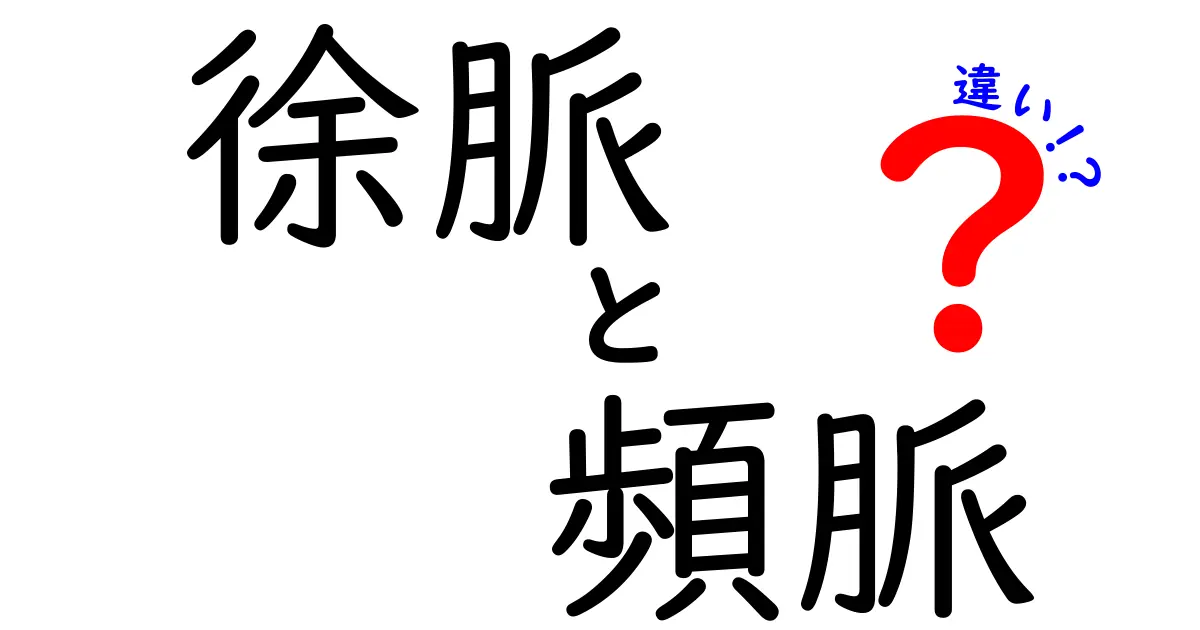 徐脈と頻脈の違いを徹底解説！心拍が遅いときと速いときに体が教えるサインと日常の対処法