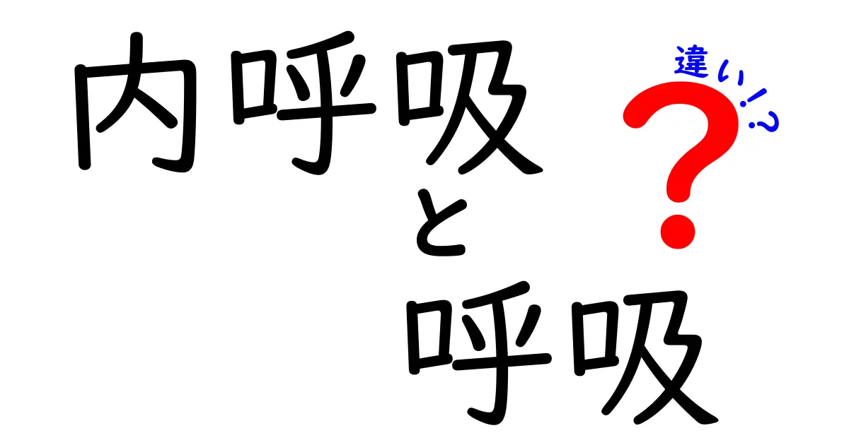 内呼吸と呼吸の違いをズバリ解説！中学生にも伝わる基礎からの解説